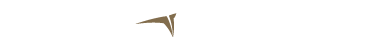 Fundilusa, always at the forefront